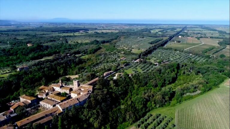 Le Migliori Cantine di Bolgheri: Un Viaggio nel Gusto