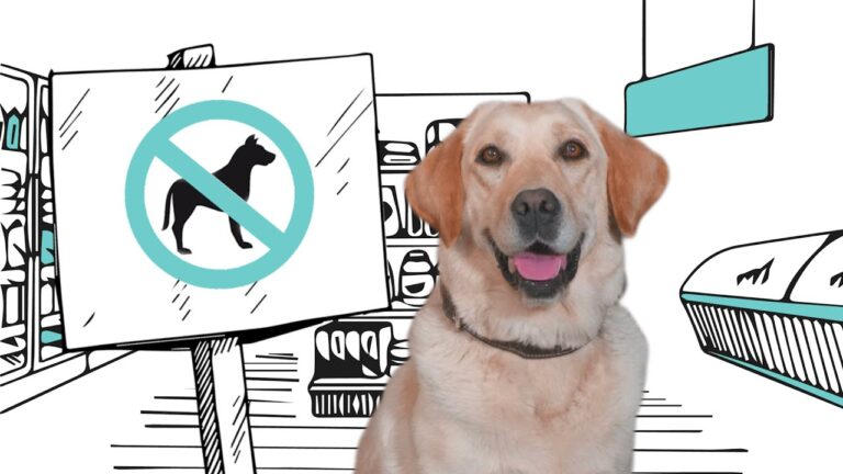 Opportunit&agrave; di Lavoro con Roofus