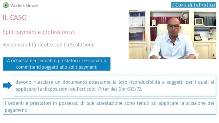 Professionisti: Guida ottimizzata al sistema di split payment