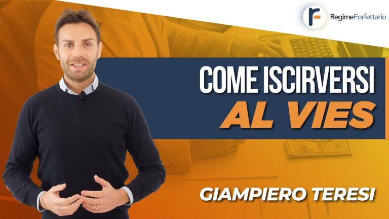 Iscrizione VIES: Guida all’Utilizzo degli Intermediari