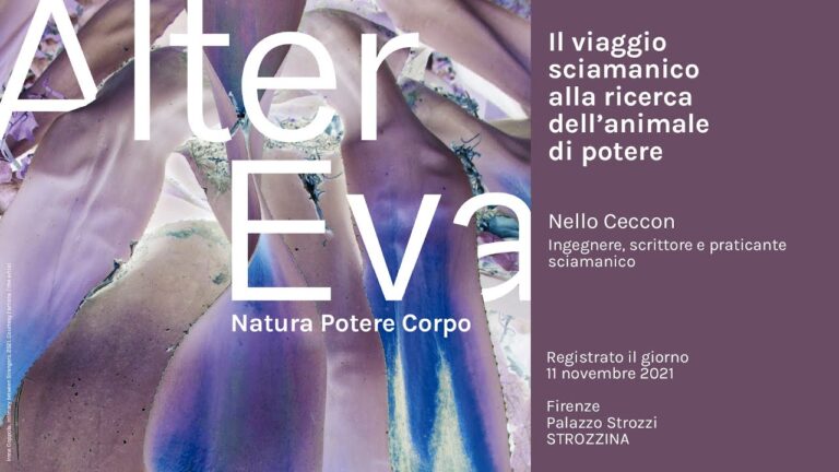 Il Costo di Uno Sciamano: Quanto Costa Davvero?