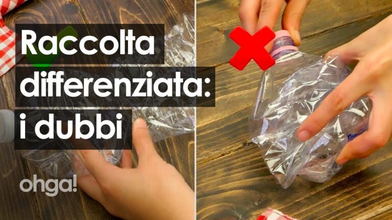Sinergia tra vetro e lattine: un binomio vincente