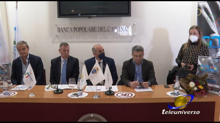 Guida al Trans Cassino: Tutto ciò che devi sapere