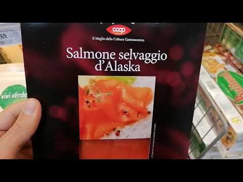 Sono Simili ai Salmoni: Le Caratteristiche dei Pesci Anadromi