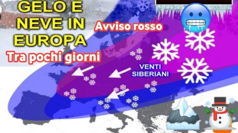 Allarme per Forti Gelate: Rischi e Precauzioni
