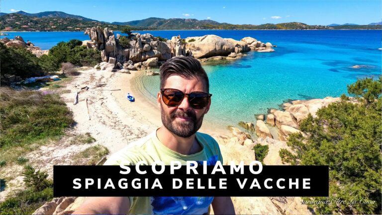 Spiaggia delle Tartarughe: Un Paradiso in Sardegna