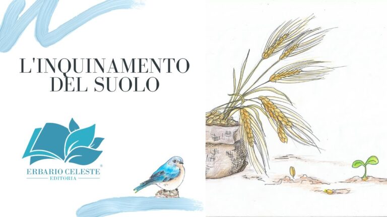 Inquinamento del suolo: educare alla consapevolezza ambientale nella scuola primaria