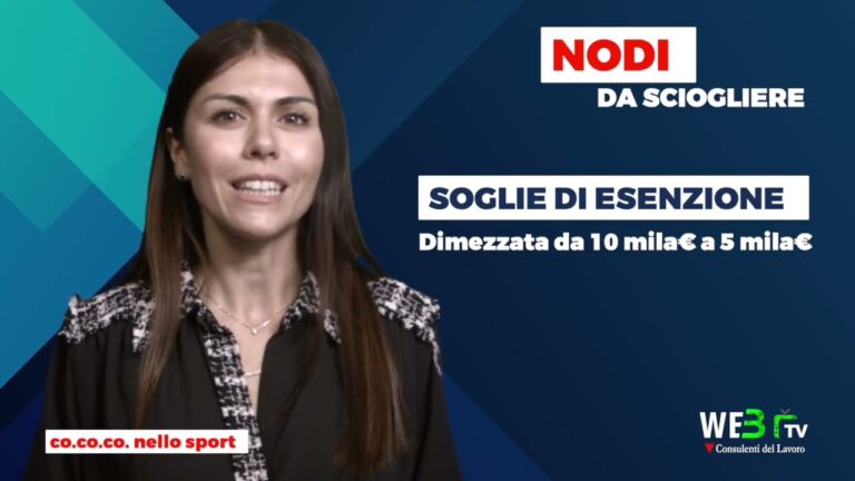 Guida al Contratto di Collaborazione e Stipendio Ottimale