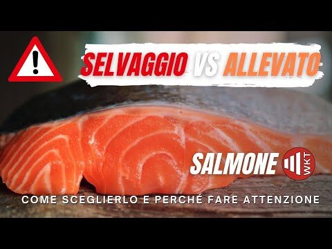 Salmone Selvaggio a Prezzi Convenienti da Lidl