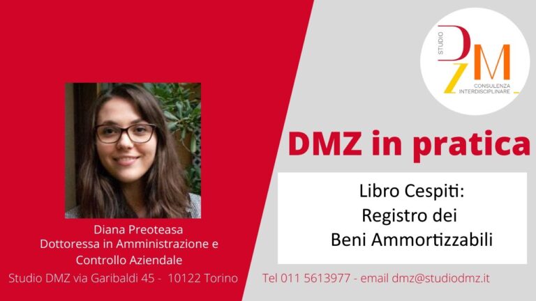 Guida completa ai libri cespiti