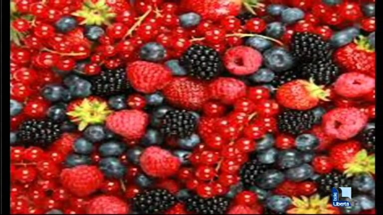 Come Utilizzare i Frutti di Bosco Congelati
