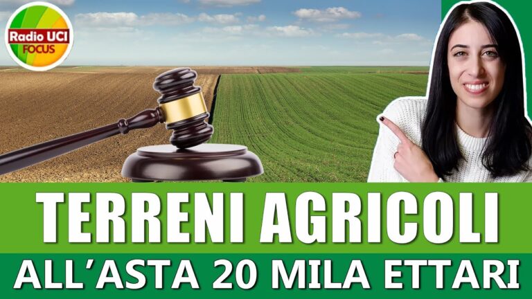 Guida all’acquisto di terreni all’asta