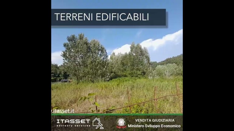Guida all’asta in Toscana: Come partecipare e ottenere i migliori affari