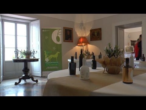 Guida al Miglior Olio di Basilicata: Scopri i Top Produttori