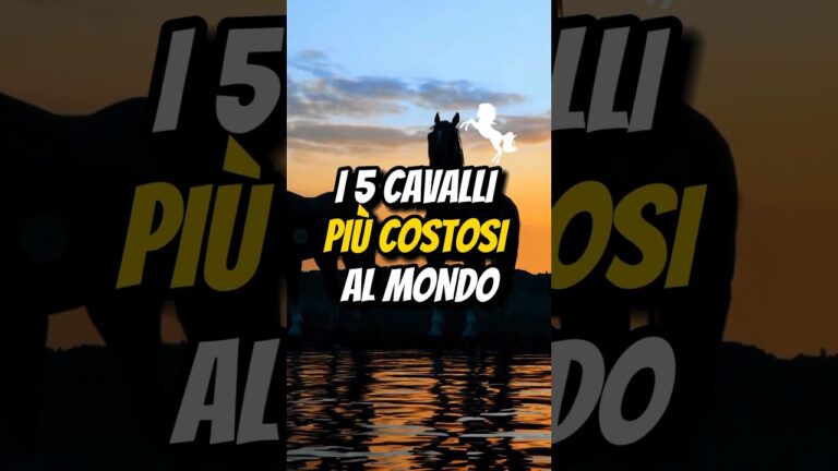 I Cavalli Più Costosi del Mondo
