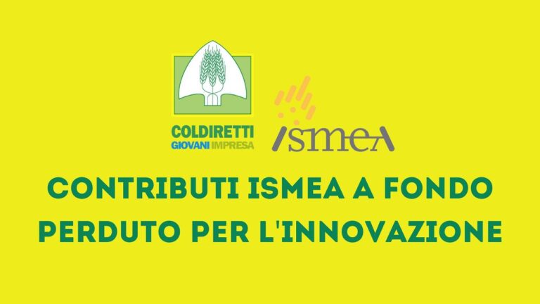 Finanziamenti a Fondo Perduto per la Pesca: Opportunit&agrave; e Vantaggi