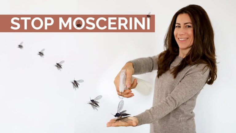 Strategie per Contenere l’Invasione di Moscerini in Giardino