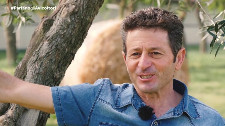 Non Solo Carni: Scopri le Delizie di Foggia