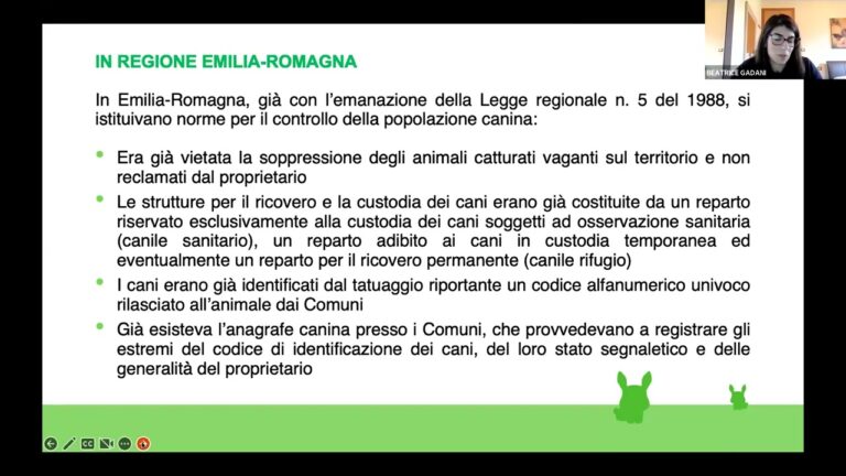 Stato Occupazionale nella Conservazione Ordinaria: Un’Analisi Efficace