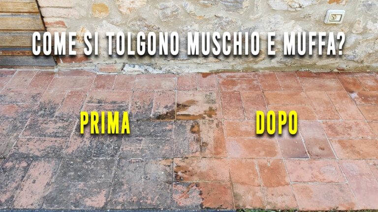 Sapone Liquido Muschio Bianco Natural Care: Un’Eleganza Naturale per la Tua Pelle