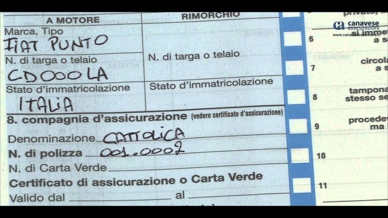 Guida al Stato di Immatricolazione del CID
