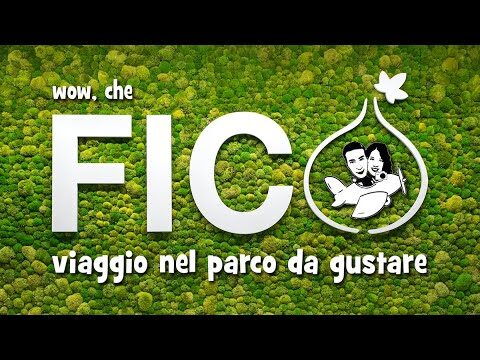 FICO Bologna: Come Funziona e Cosa Offrire